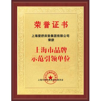 上海市品牌示范引領單位